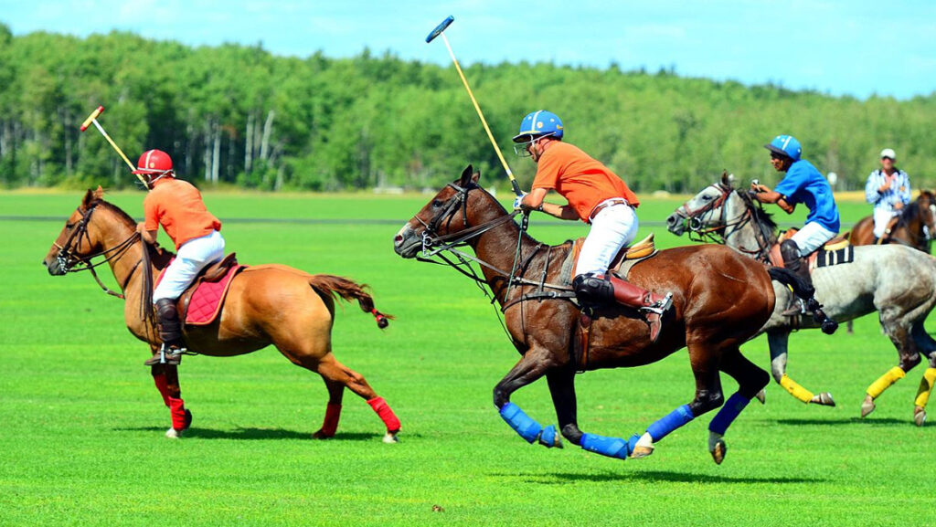 Here is the topic that is rarely seen in Indian polo. Along with this, we reap Indians' contribution to Indian polo and Polo in India's complete history