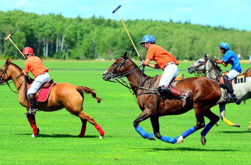 Here is the topic that is rarely seen in Indian polo. Along with this, we reap Indians' contribution to Indian polo and Polo in India's complete history.