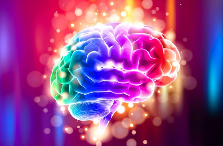 Brain-behavior relationship: How does Brain behavior?