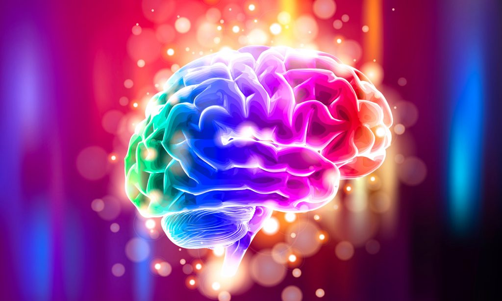 Brain-behavior relationship: How does Brain behavior? The brain behavior/performs based on behavioral, neural, endocrine, and immune interactions in humans and animals.