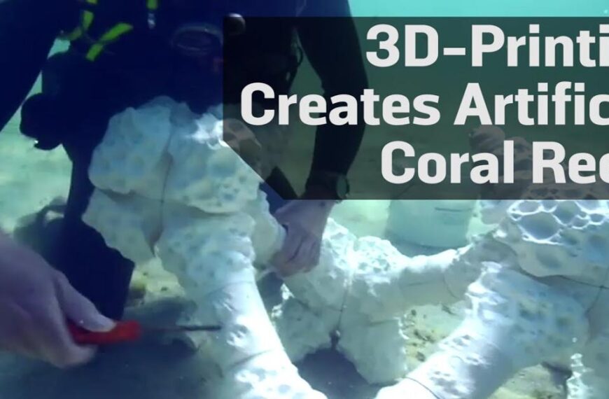 3D printed terracotta coral reefs could save rainforests of the sea