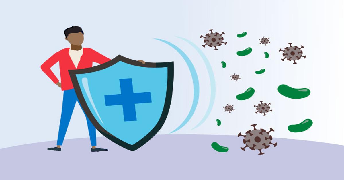 How The Immune System Protects You From Infections