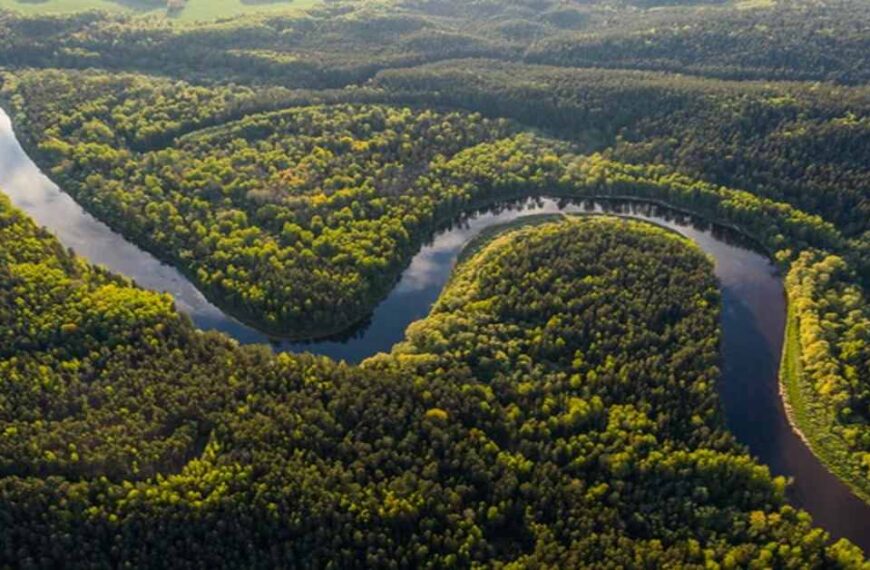 Why Amazon Biodiversity Is Important to the World