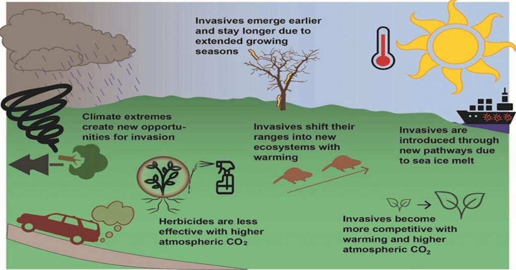 What is Climate change Impacts of climate change on the plants and animals