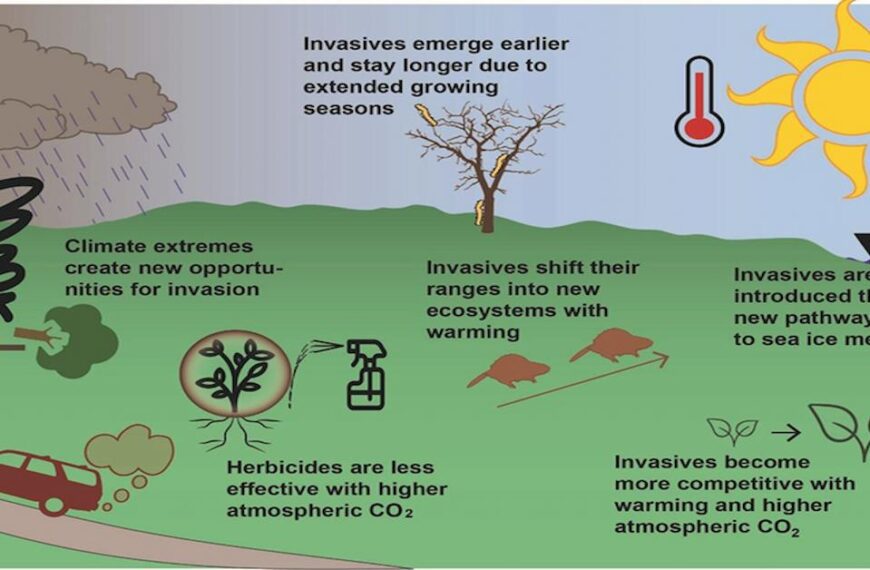 What is Climate change? -Impacts of climate change on the plants and animals